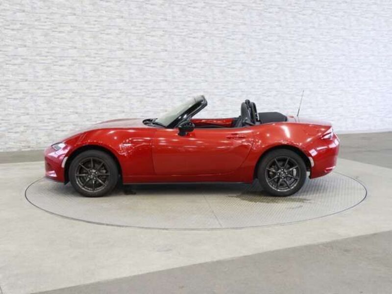 ROADSTER