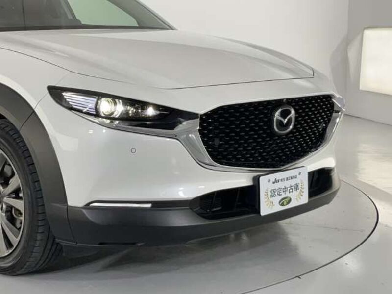 CX-30