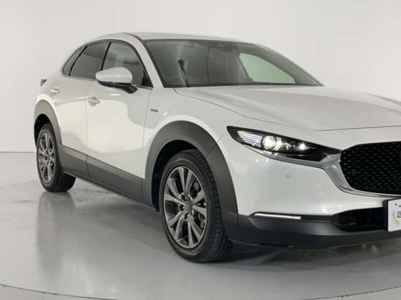 CX-30