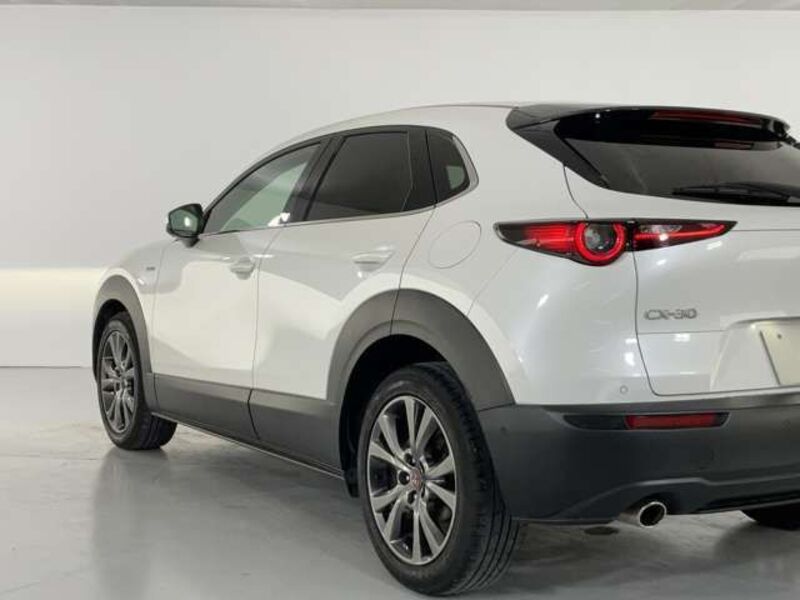 CX-30