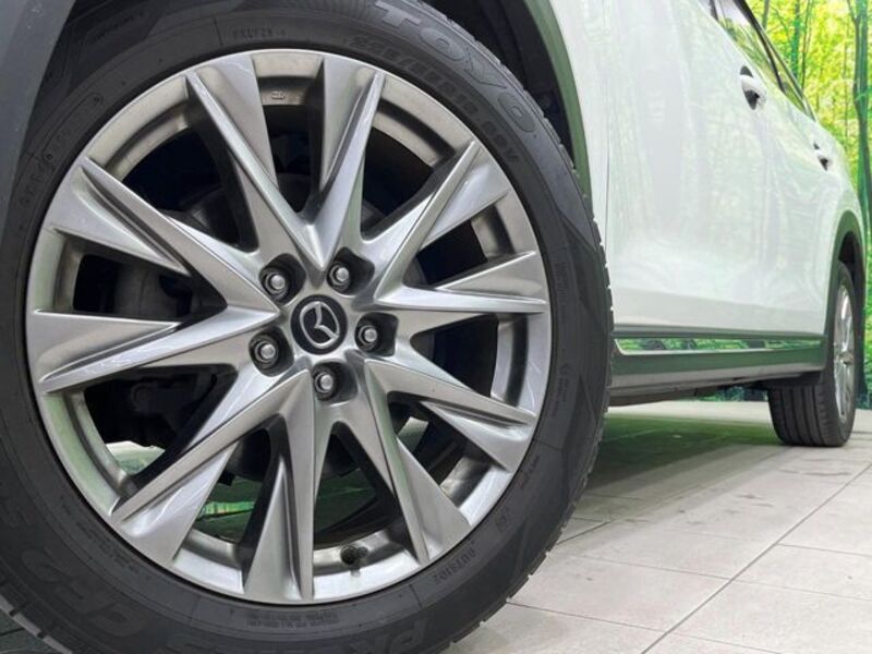 CX-8