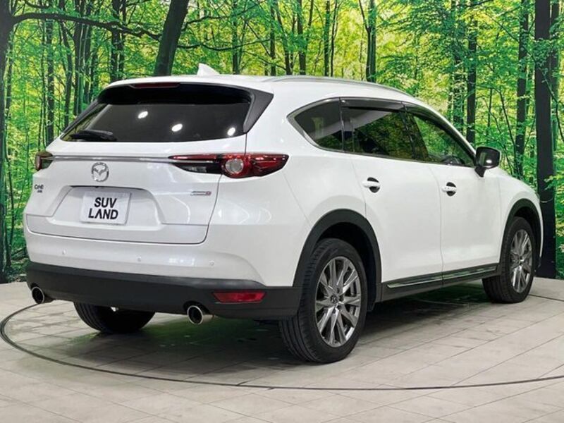 CX-8