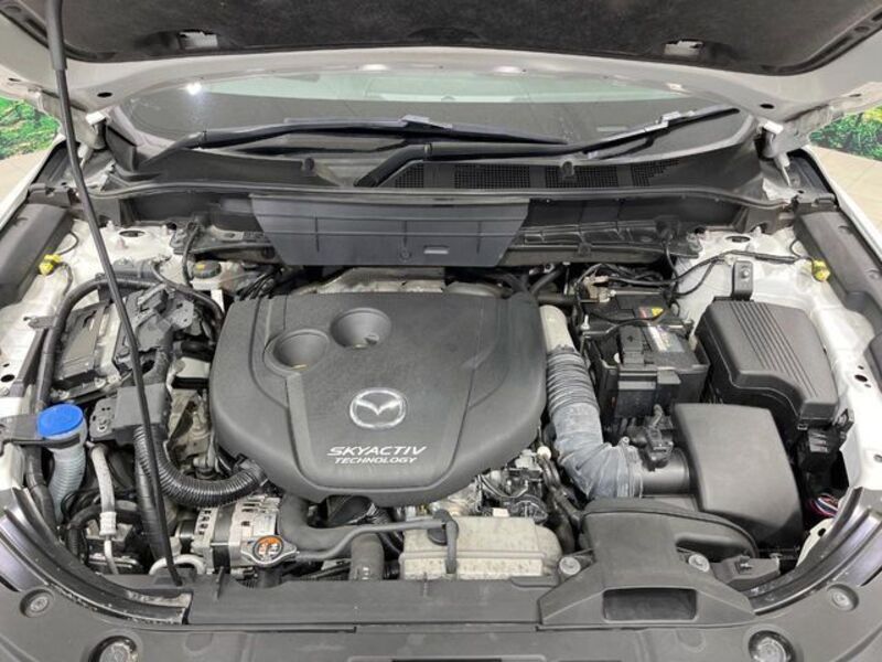 CX-8