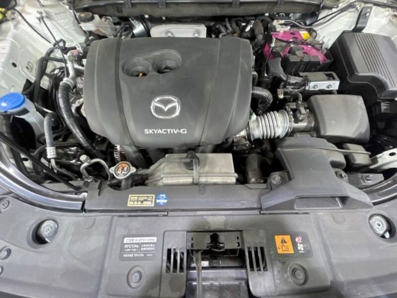 CX-8