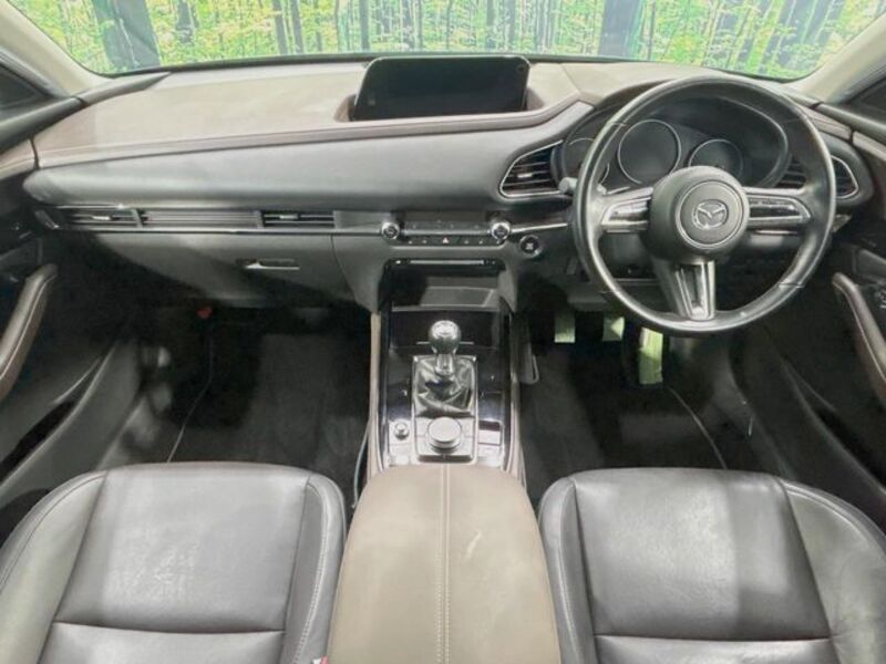 CX-30