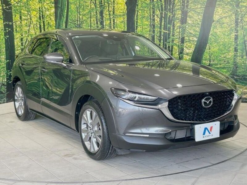 CX-30