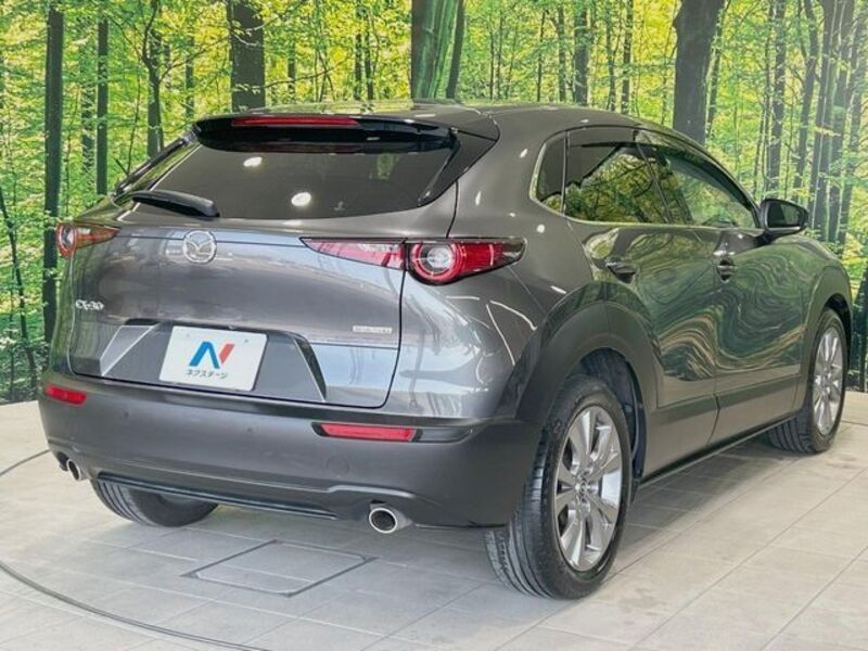 CX-30