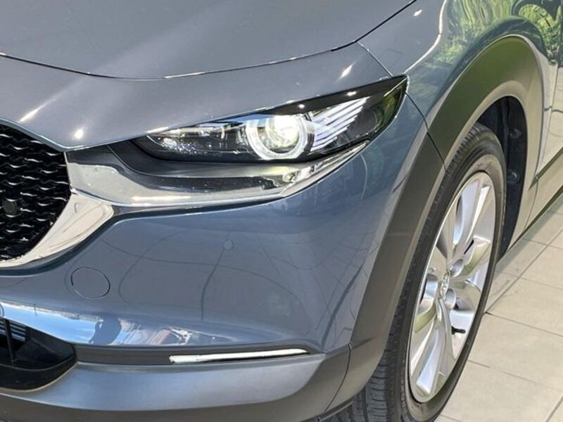 CX-30