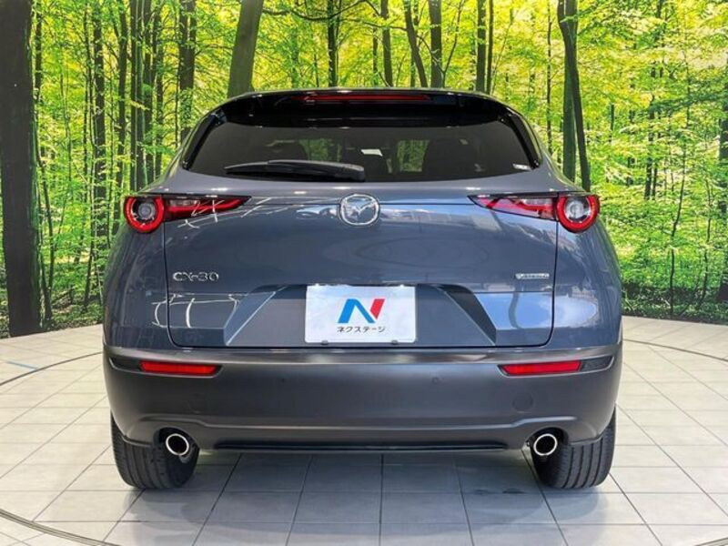 CX-30