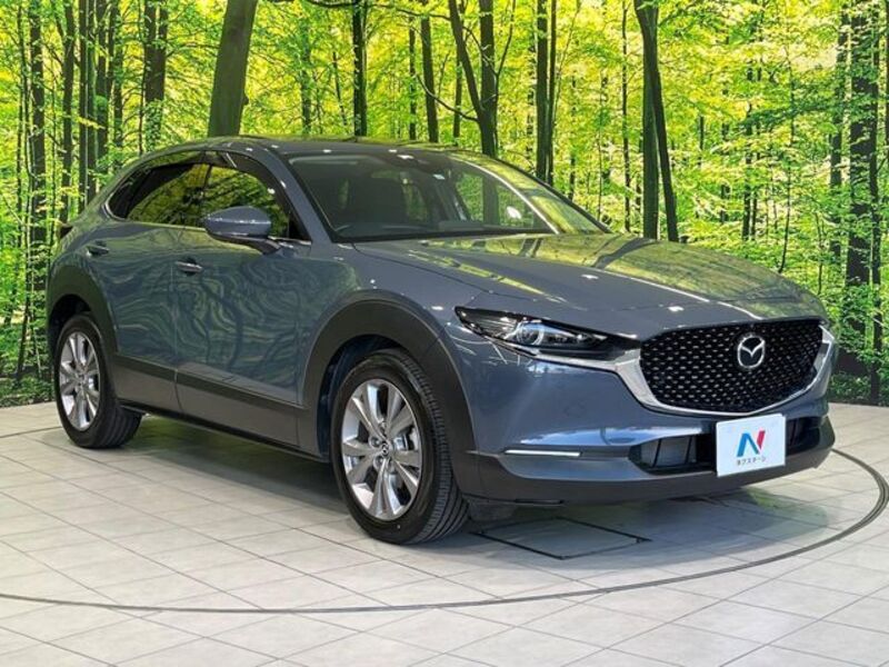 CX-30