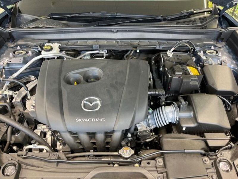 CX-30