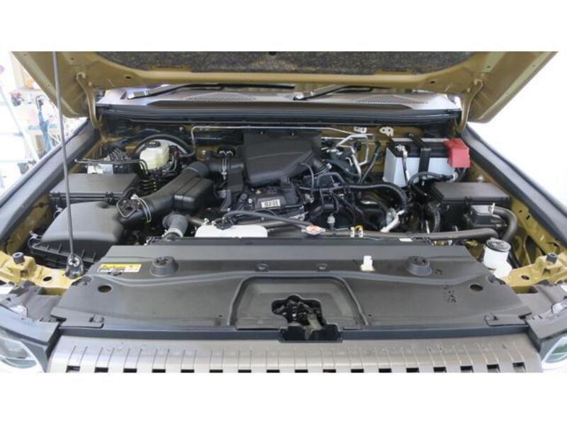 LAND CRUISER 250