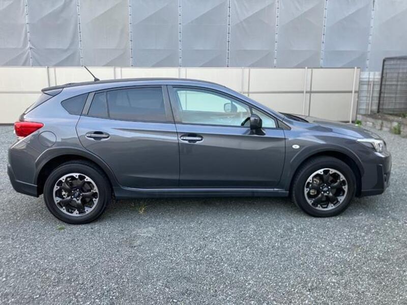 XV