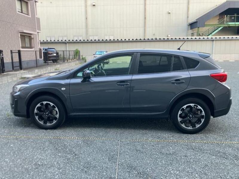 XV