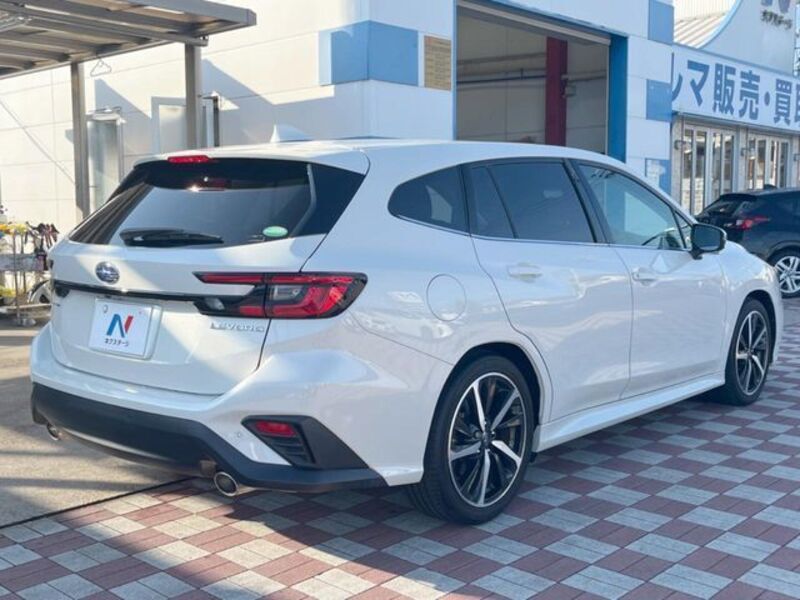 LEVORG