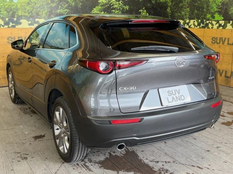 CX-30