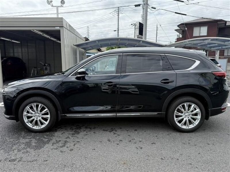 CX-8