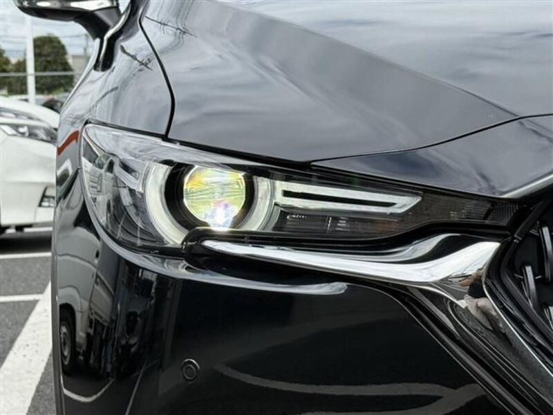 CX-8