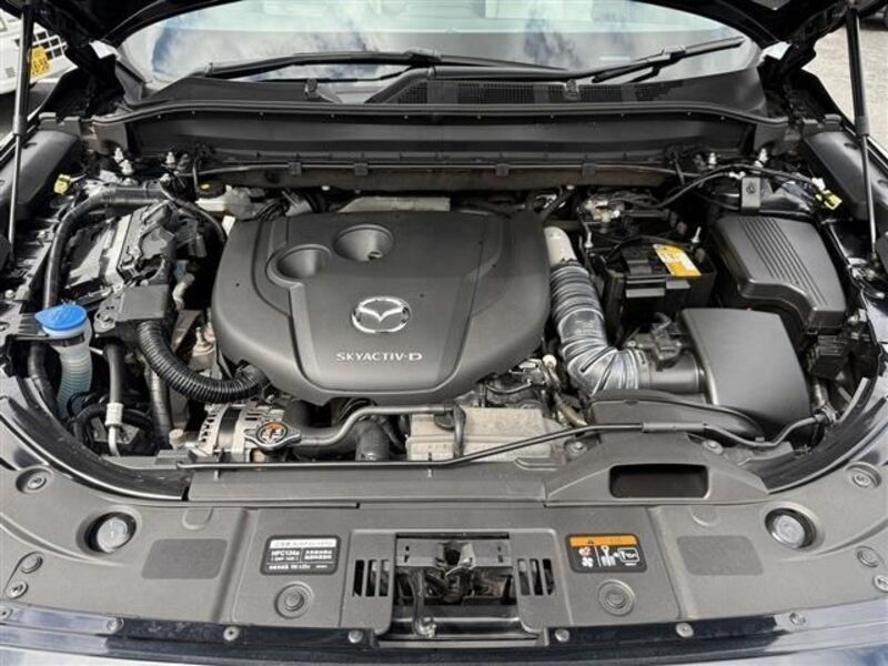 CX-8