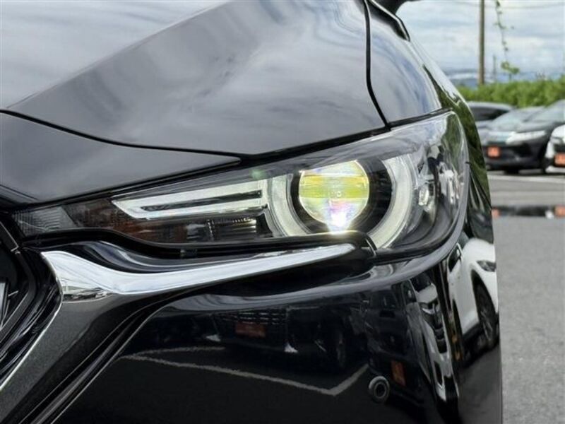 CX-8