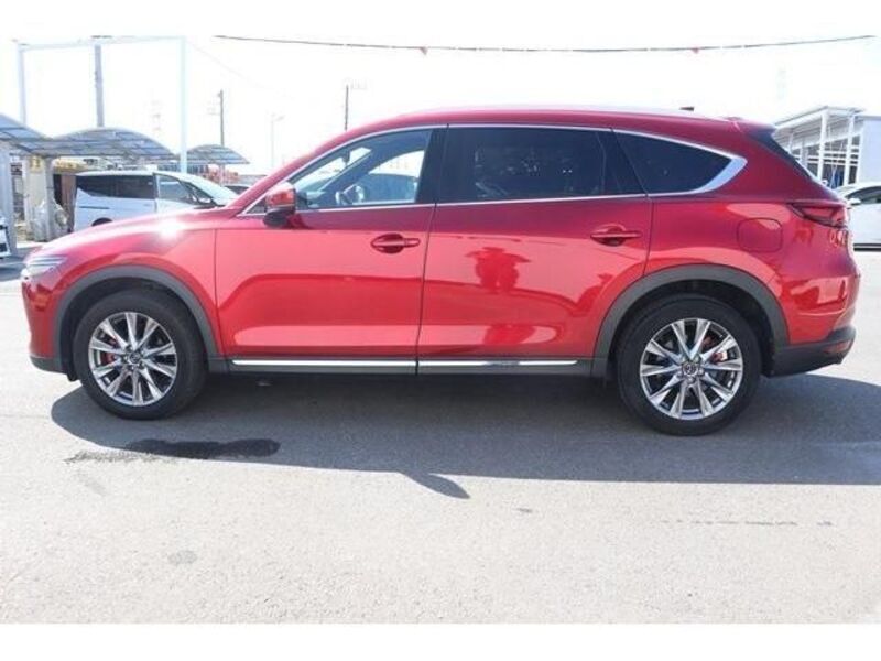 CX-8