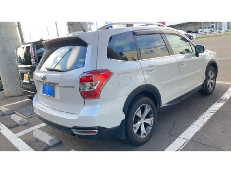 FORESTER