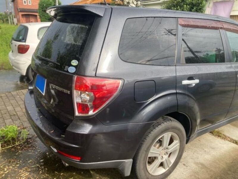 FORESTER