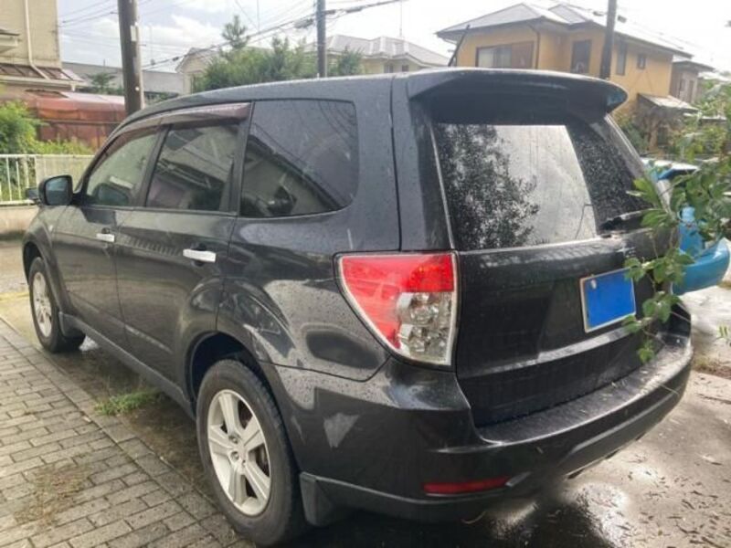 FORESTER