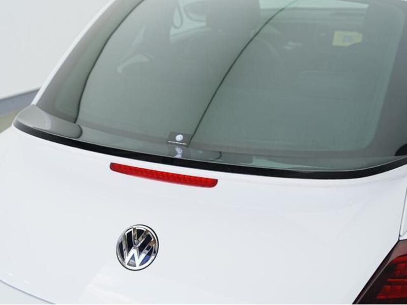 THE BEETLE