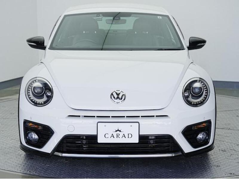 THE BEETLE