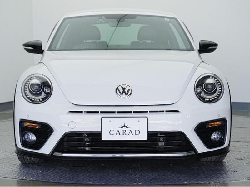 THE BEETLE