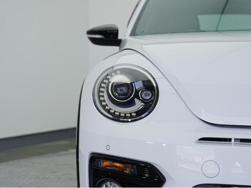 THE BEETLE