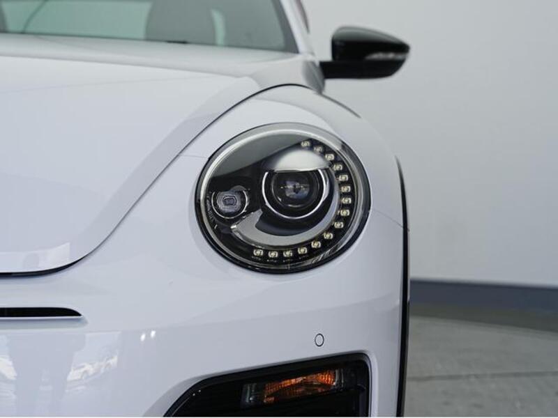 THE BEETLE