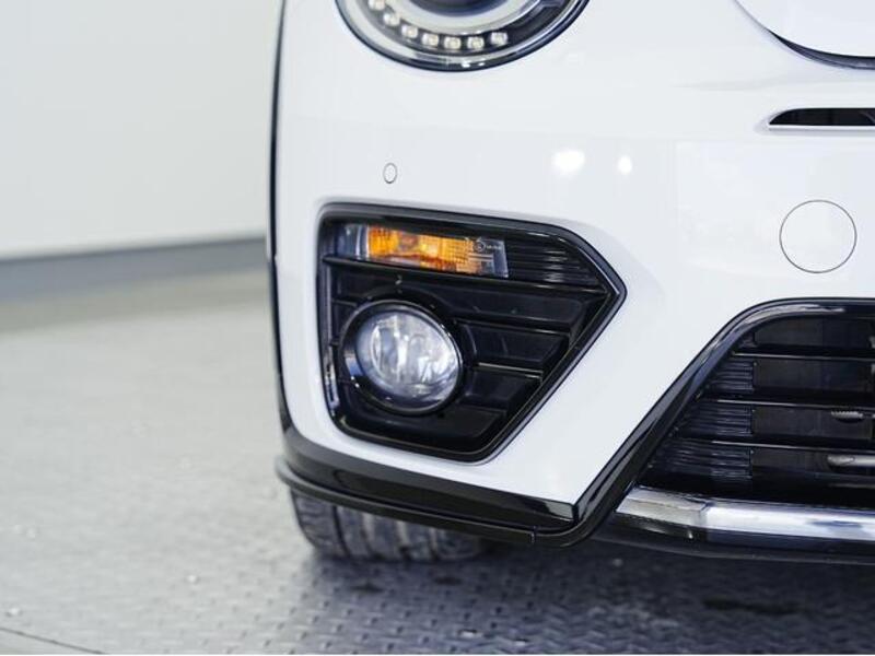 THE BEETLE