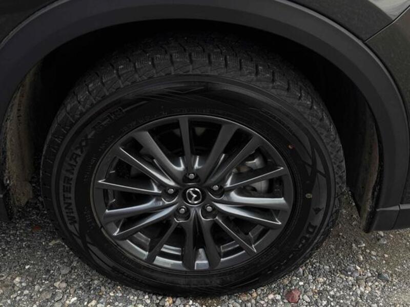 CX-8