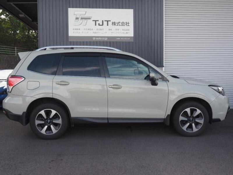 FORESTER
