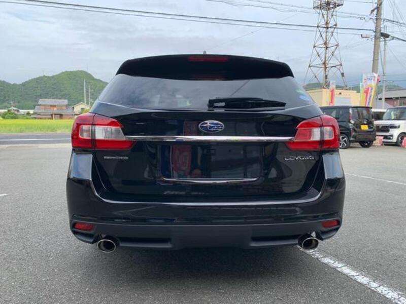 LEVORG