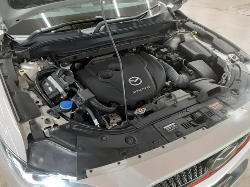 CX-8