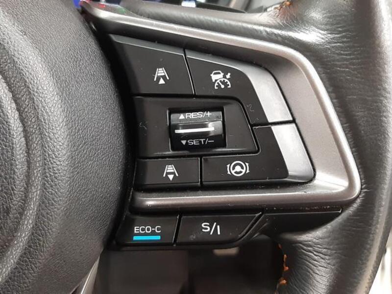 XV