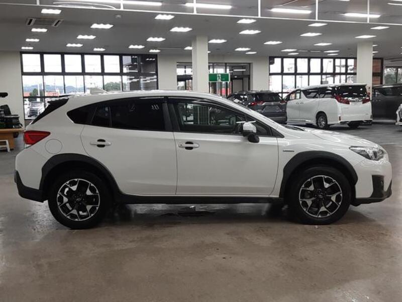XV