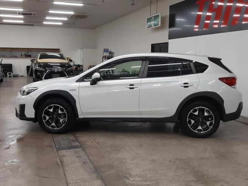 XV