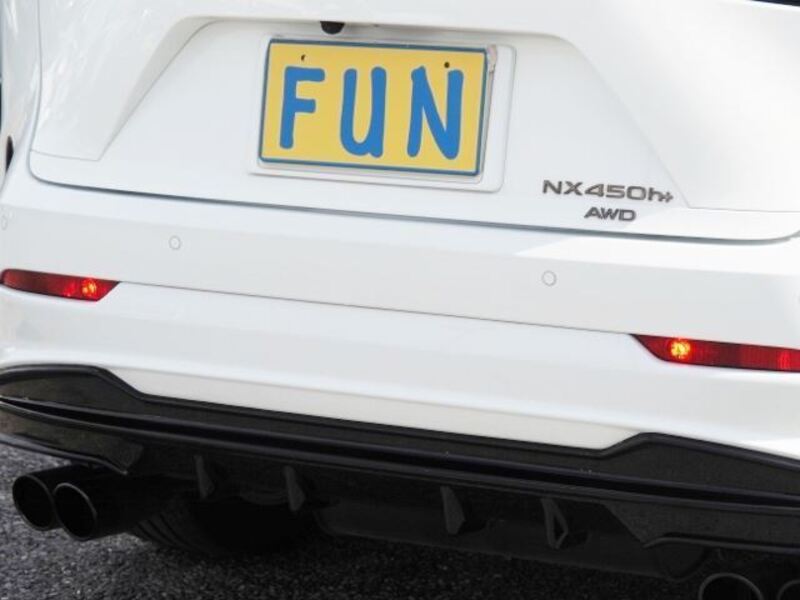 NX