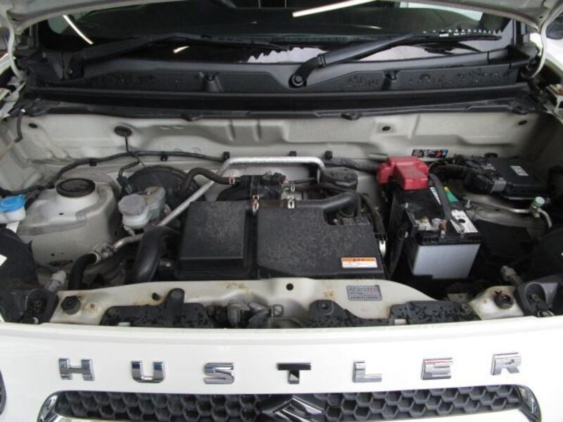 HUSTLER