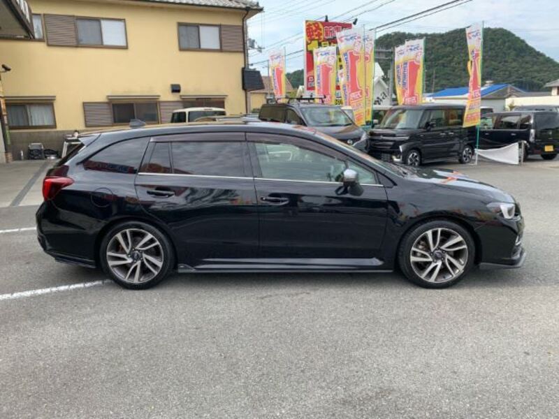 LEVORG