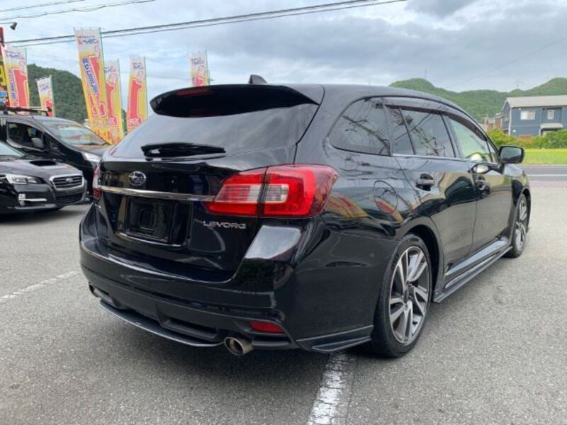 LEVORG