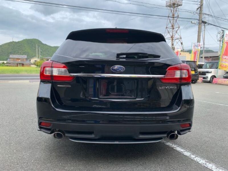 LEVORG