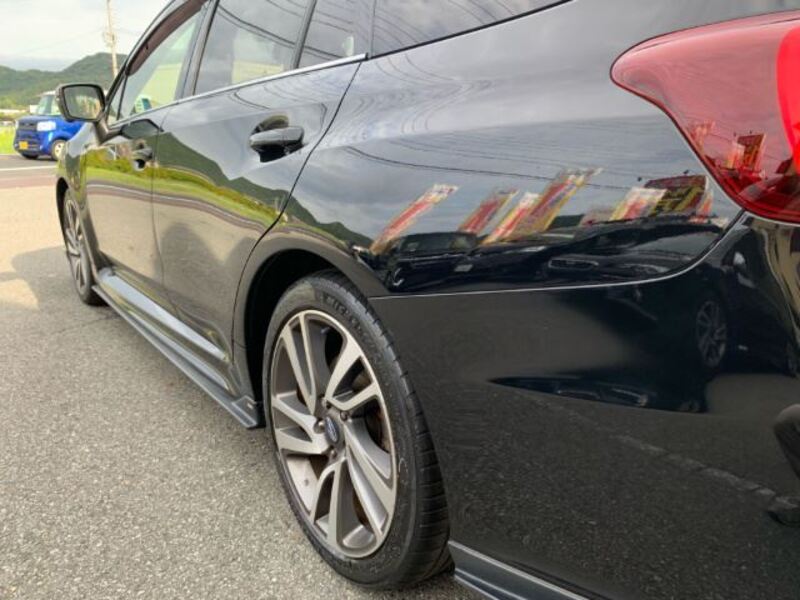 LEVORG