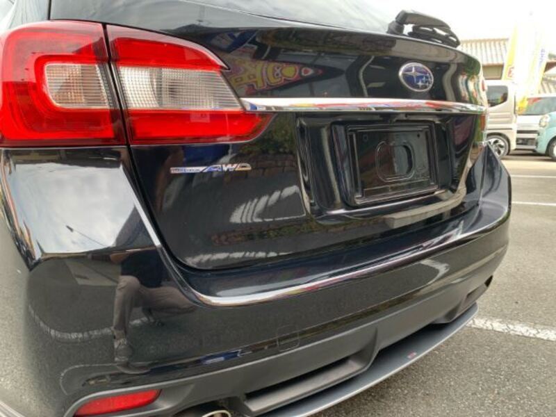 LEVORG