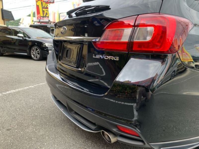 LEVORG