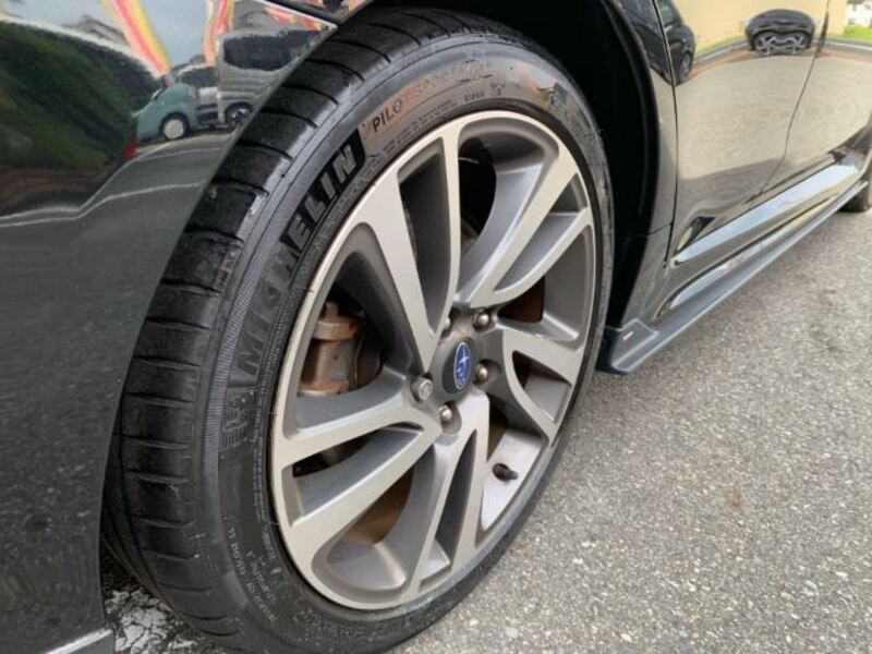 LEVORG